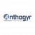 Anthogyr