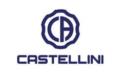 Castellini