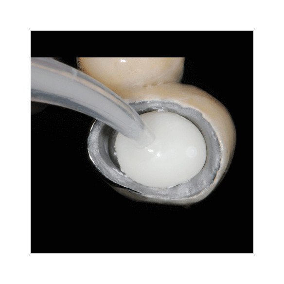 Fuji Plus Capsules - Boite de 50 GC