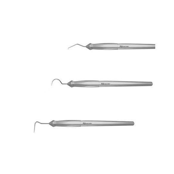 Sonde XL Style Prodont Holliger