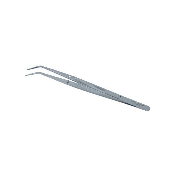 Précelle College Striée n°2 Prodont Holliger 219-02