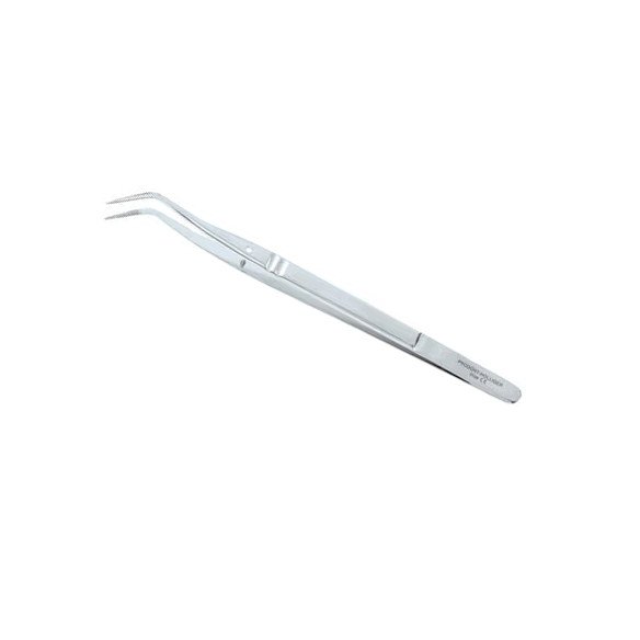 Précelle College lisse n°2 Prodont Holliger