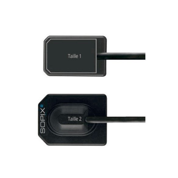Capteur numérique SOPIX-2 Taille 1 / Taille 2 Acteon