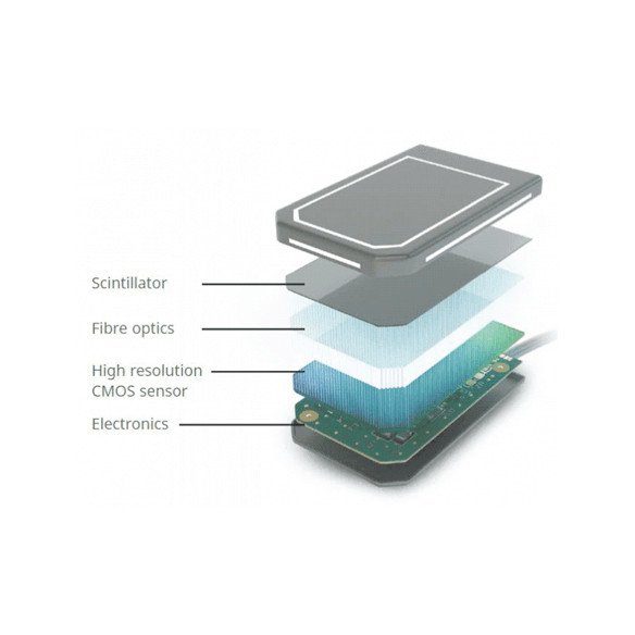 Capteur numérique SOPIX-2 Taille 1 / Taille 2 Acteon