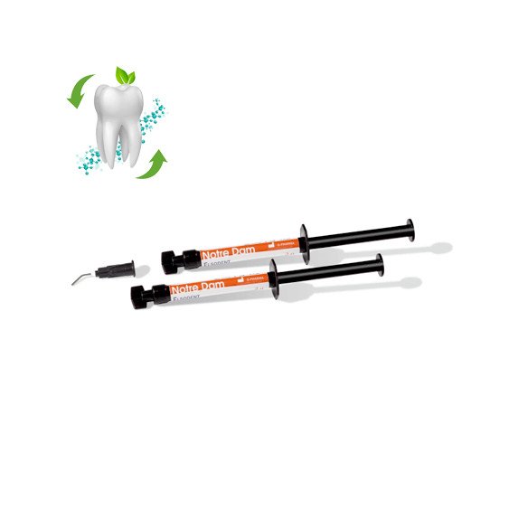 Notre Dam 2 seringues de 2g Elsodent