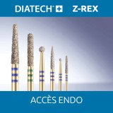 Diatech Z-Rex Accès endo réassort 5 fraises Coltene