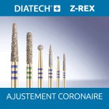 Diatech Z-Rex Ajustement coronaire réassort 5 fraises Coltene