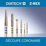 Diatech Z-Rex Découpe coronaire réassort 5 fraises Coltene