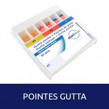 Pointes Gutta Vario Taper 60u Steriblue