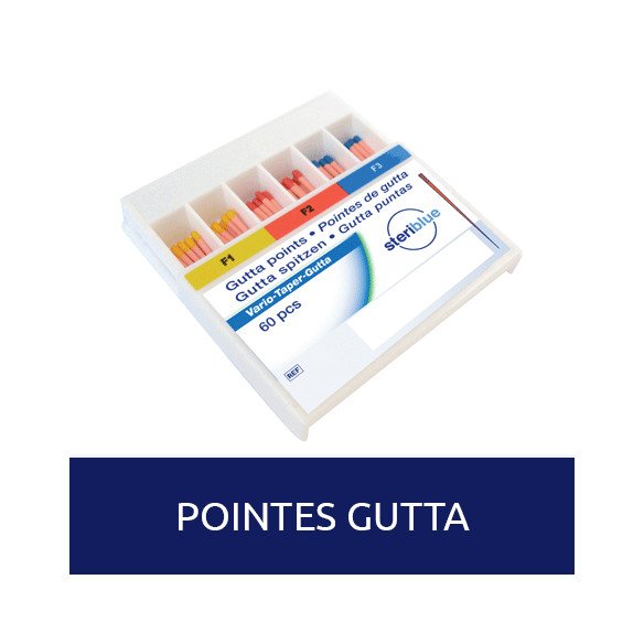 Pointes Gutta Vario Taper 60u Steriblue