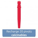 Pivot Master Cylindro-conique calcinables 20 pivots Anthogyr