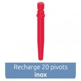 Pivot Master Cylindro-conique inox 20 pivots Anthogyr