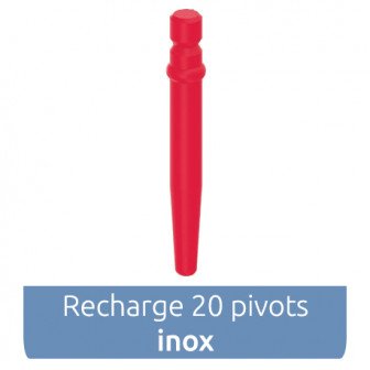 Pivot Master Cylindro-conique inox 20 pivots Anthogyr