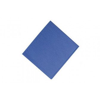 Housse têtière 28x36 bleu 200u Akzenta