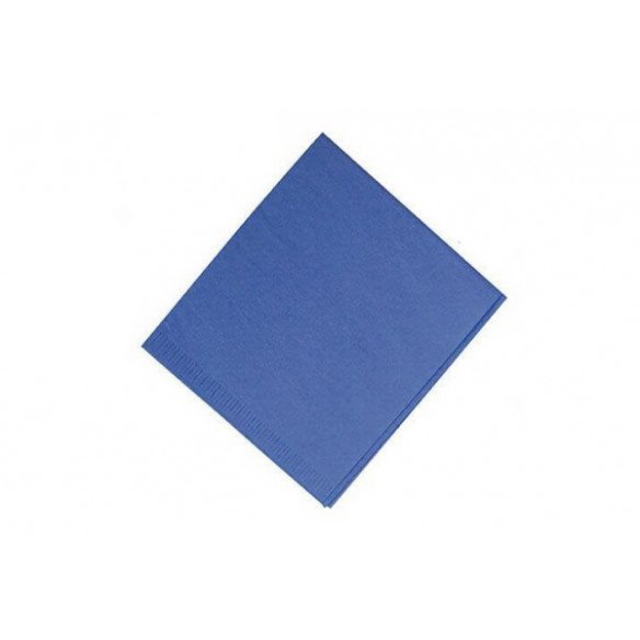 Housse têtière 28x36 bleu 200u Akzenta