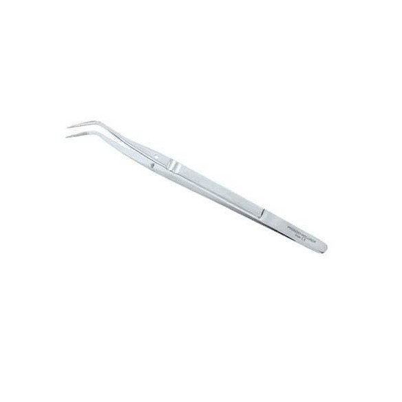 Précelle College N°1 lisse Prodont Holliger