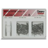 Tenons Mooser Set 055D Dentsply Maillefer