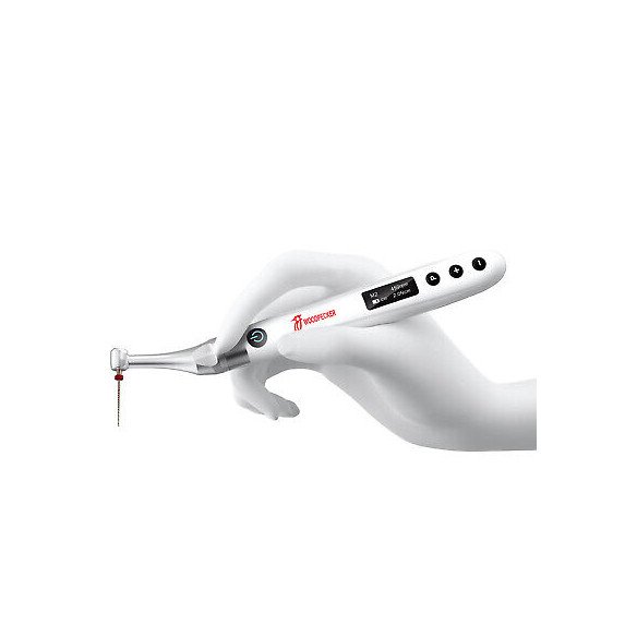 Moteur d'endodontie Endo Free Woodpecker sans balais
